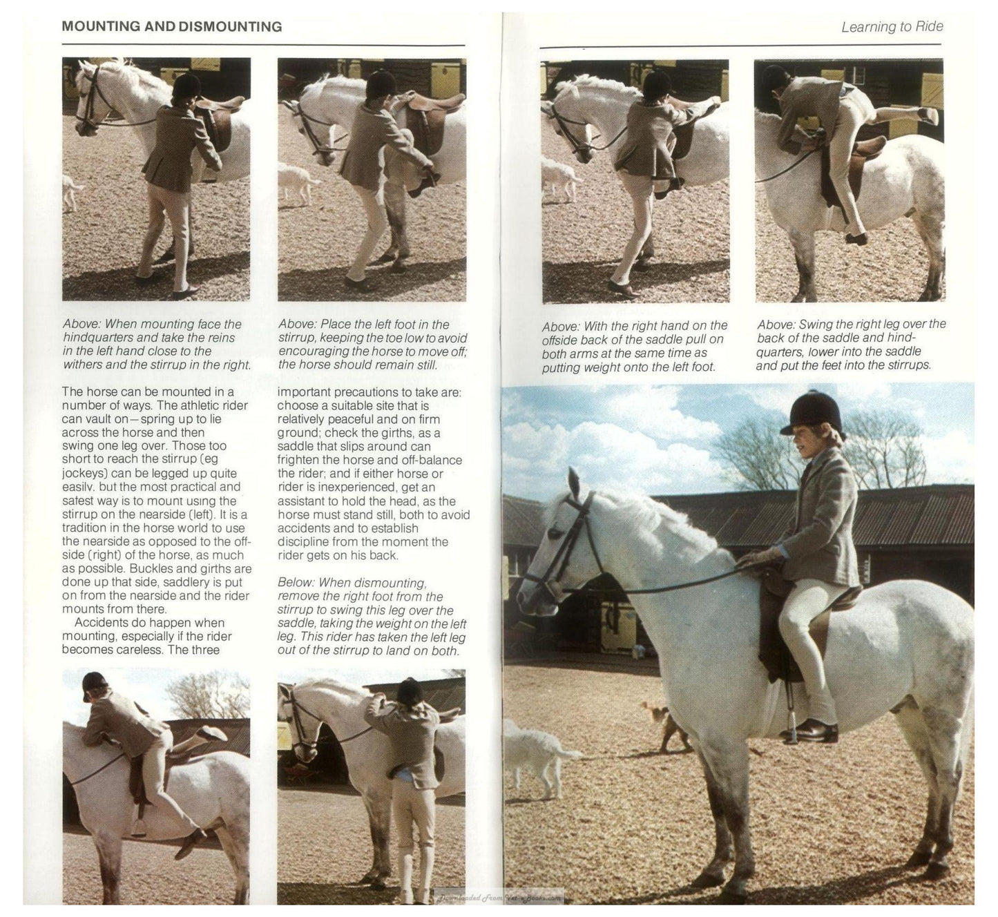Young Riders Guide To Horse And Pony Care