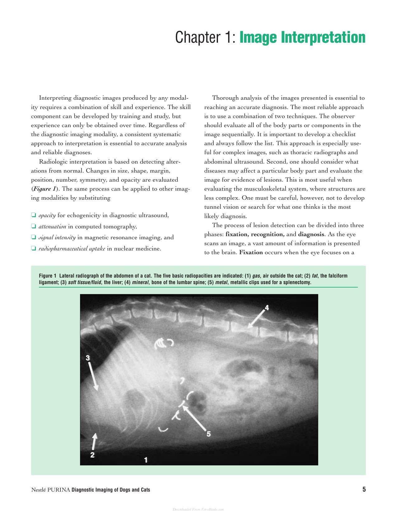 Diagnostic Imaging Of Dogs And Cats