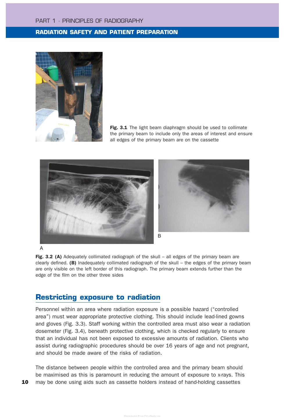 Look inside — page 8