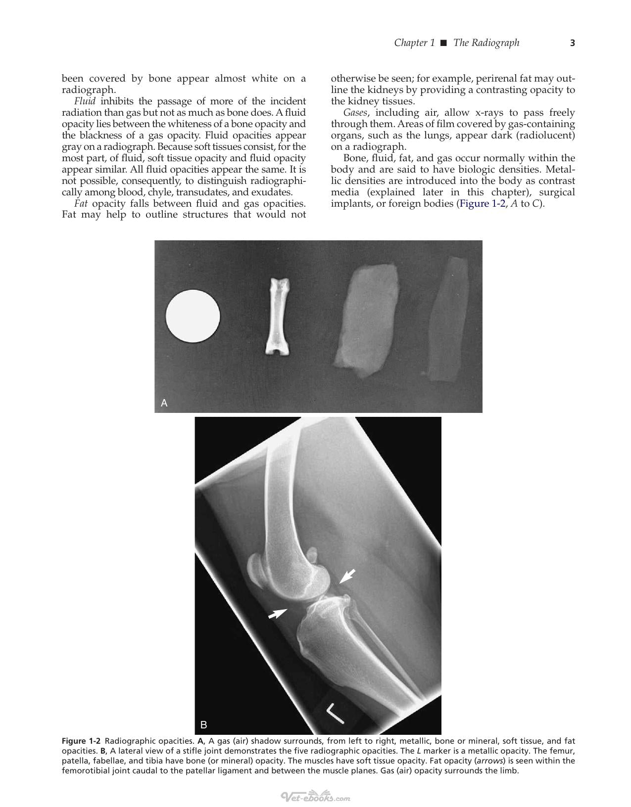 Look inside — page 8