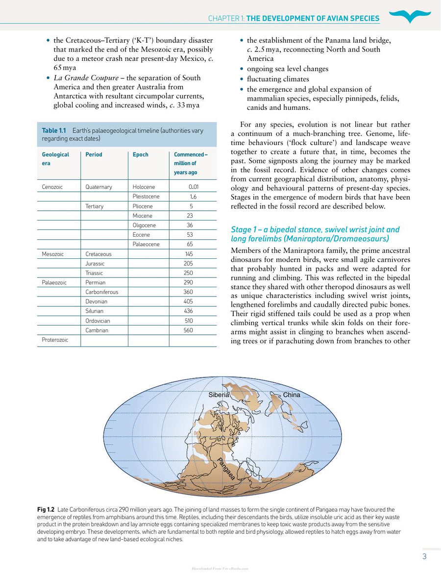 Preview page of Handbook of Avian Medicine 2nd Edition
