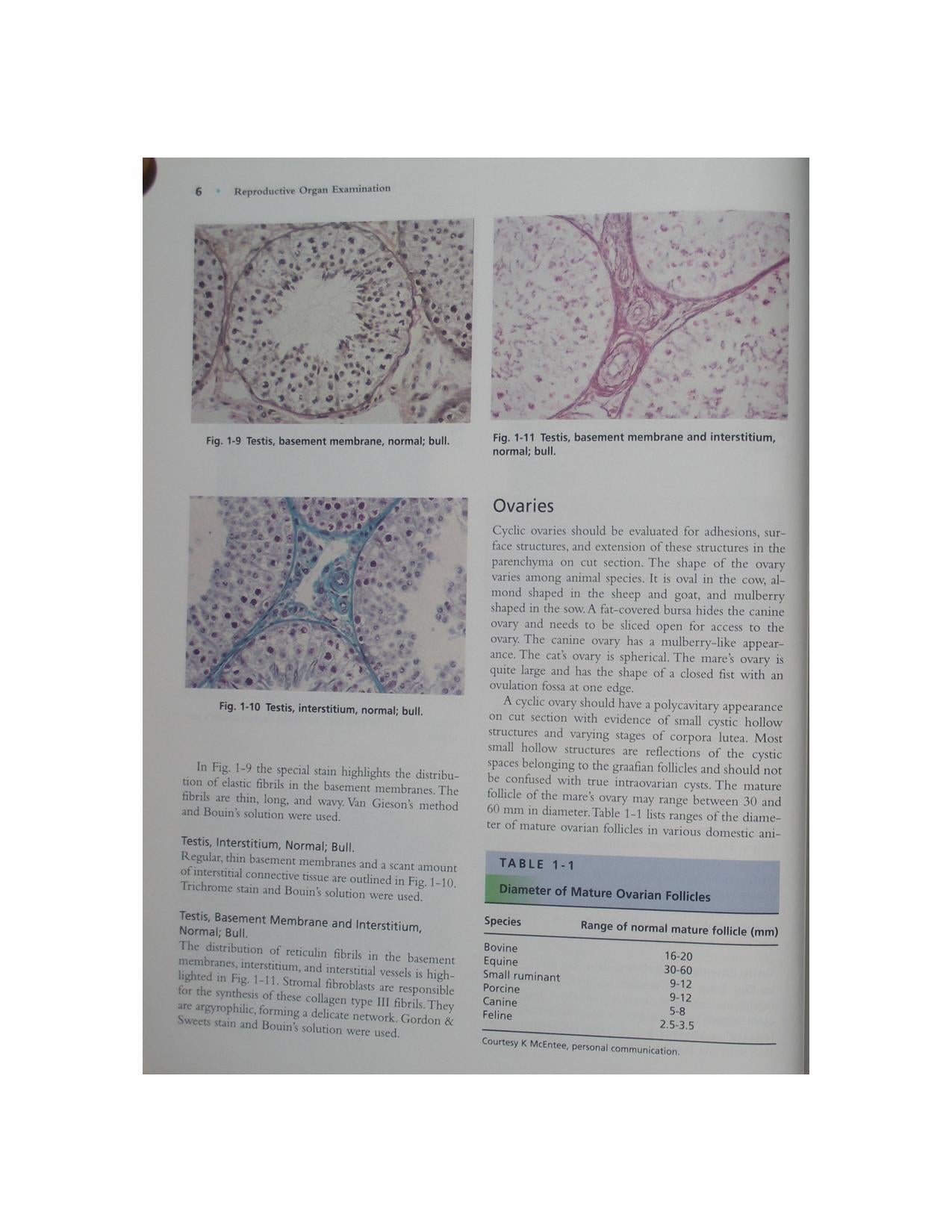 Color Atlas Of Reproductive Pathology Of Domestic Animals