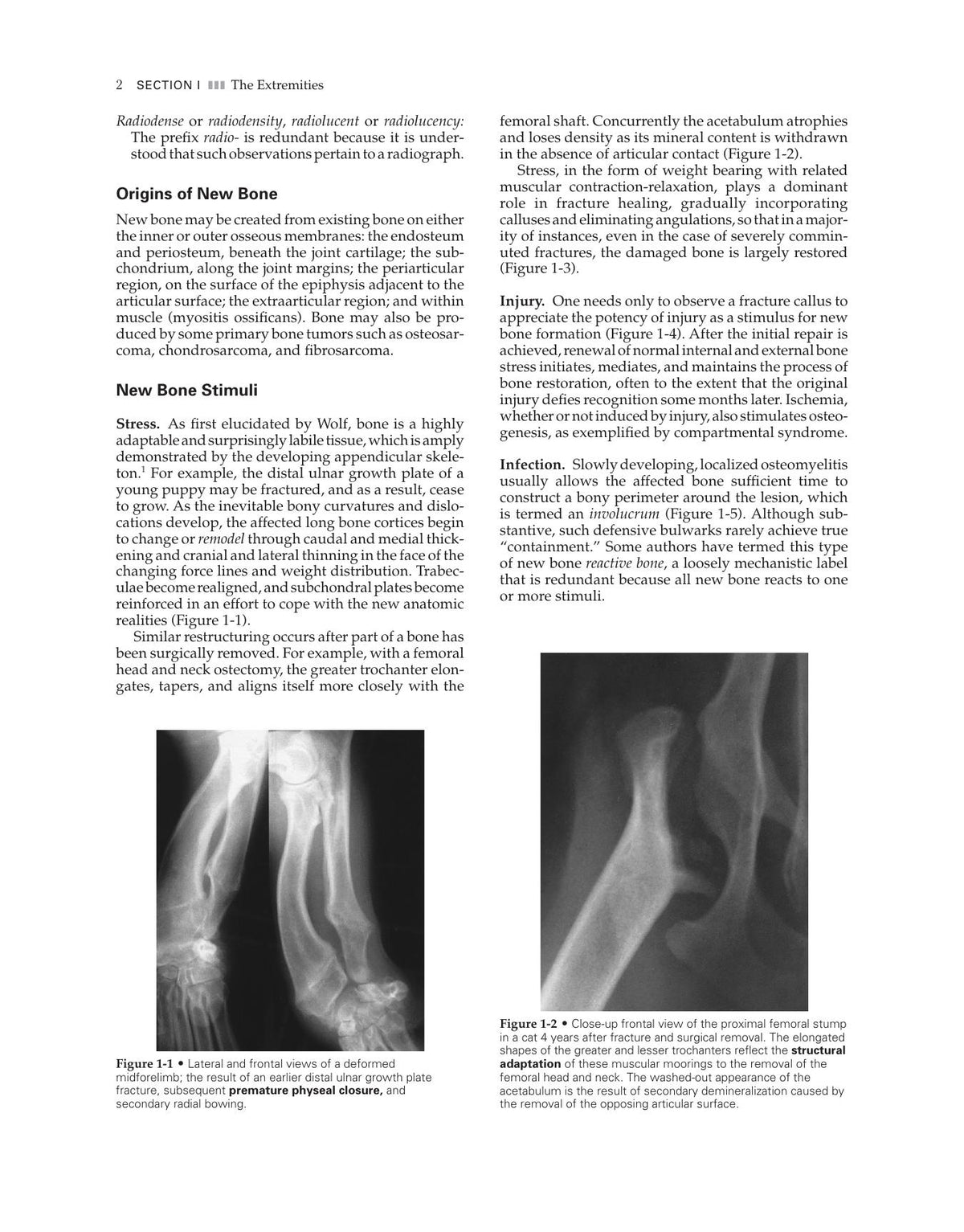 Look inside — page 8