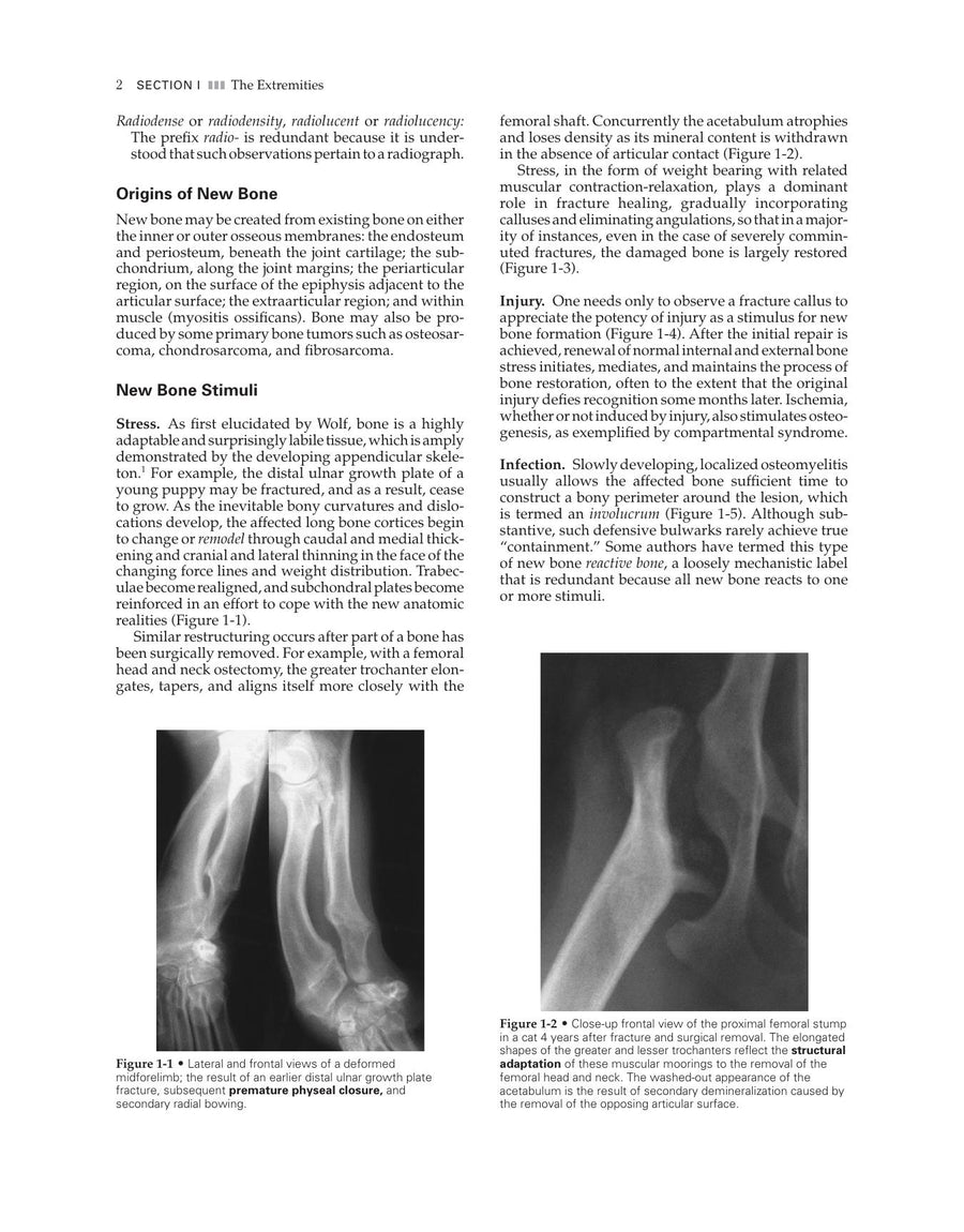 Preview page of Veterinary Diagnostic Imaging the Dog and Cat