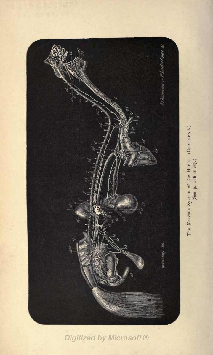 Essentials Of Physiology For Veterinary Students