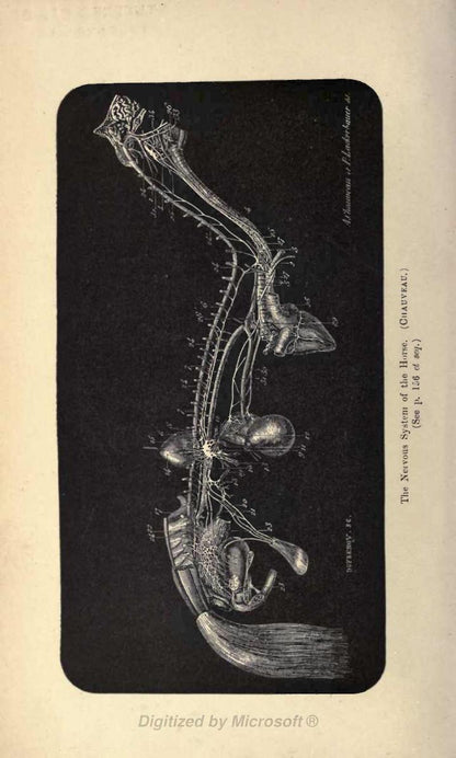 Essentials of Physiology for Veterinary Students