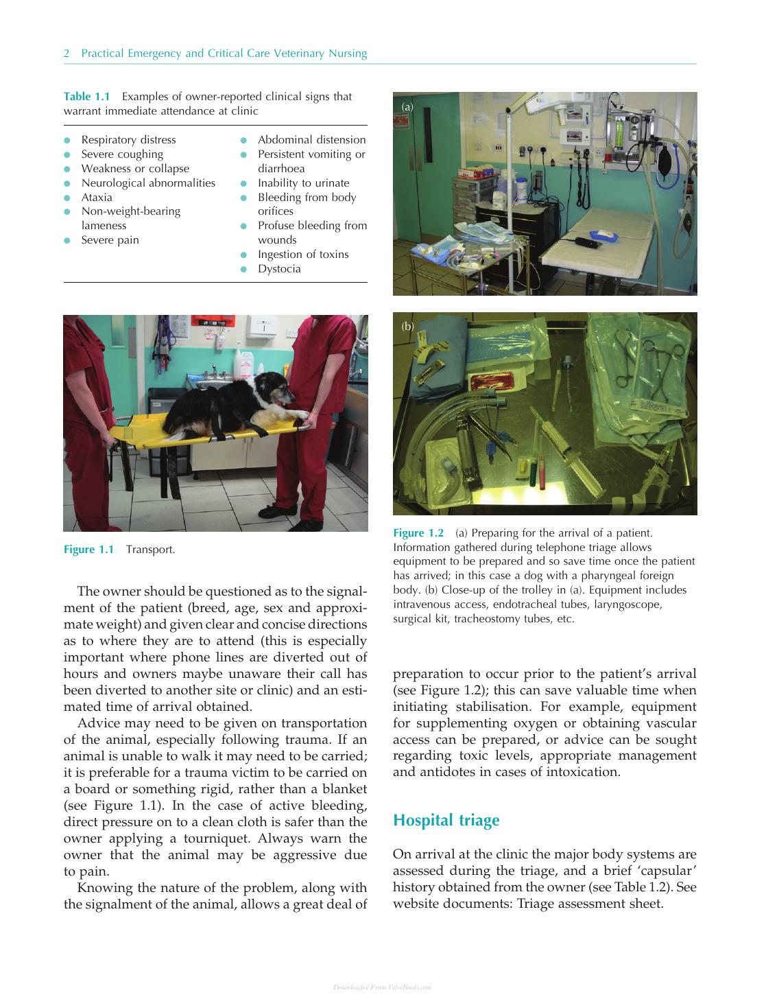 Practical Emergency And Critical Care Veterinary Nursing