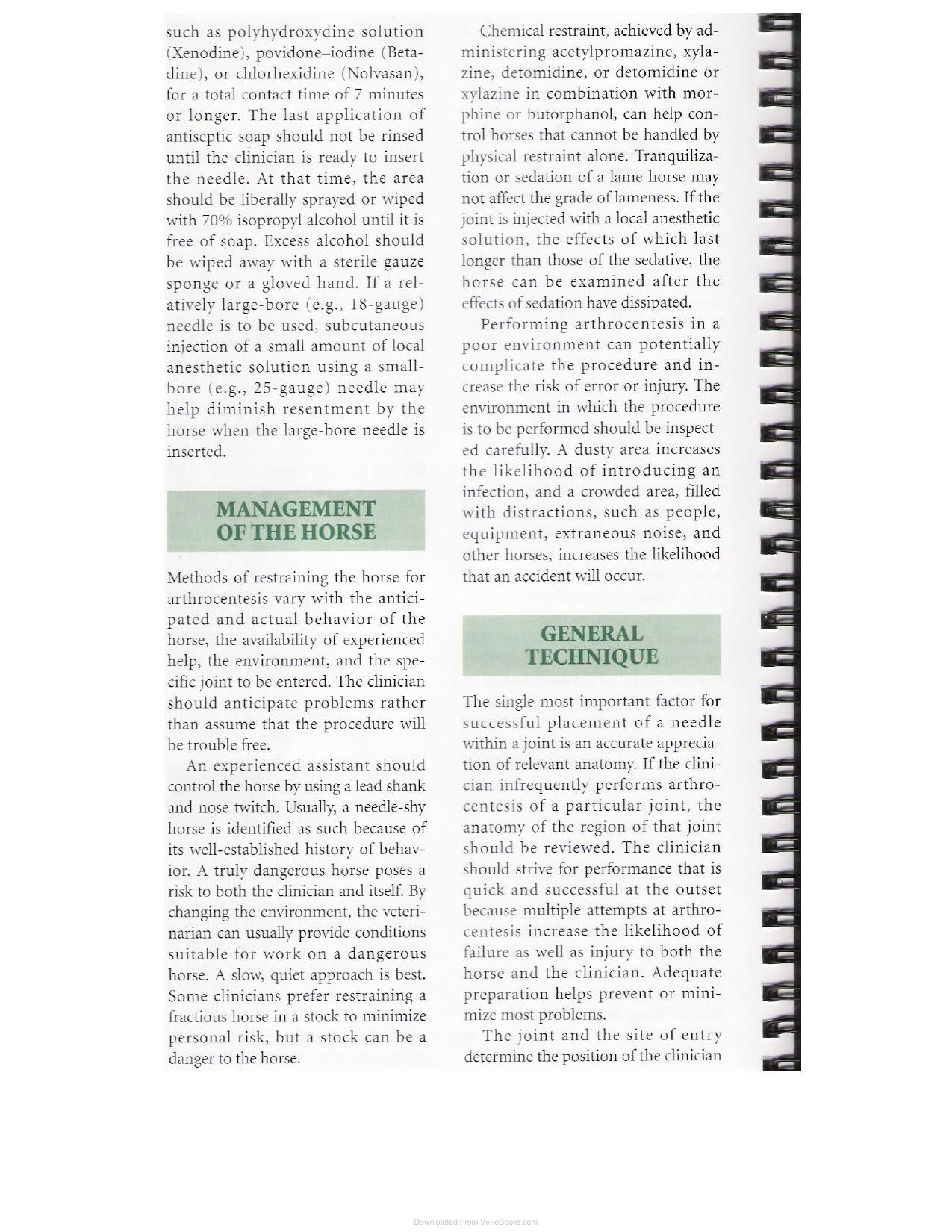 A Guide To Equine Joint Injection And Regional Anesthesia
