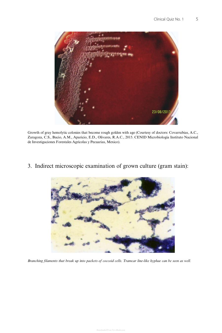 Skin Diseases Of Cattle In The Tropics A Guide To Diagnosis And Treatment