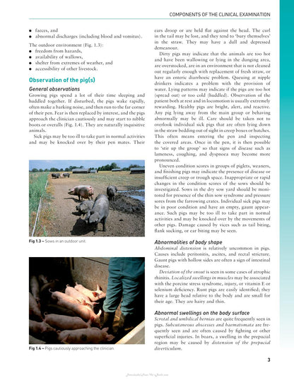 Handbook of Pig Medicine