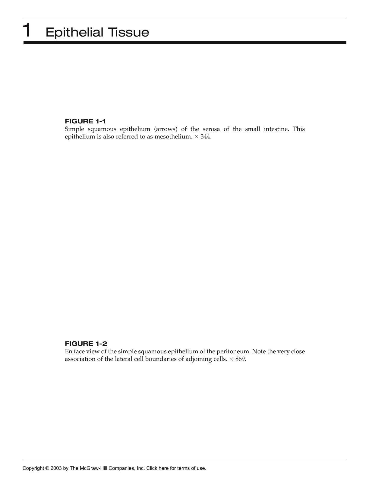 Look inside — page 8