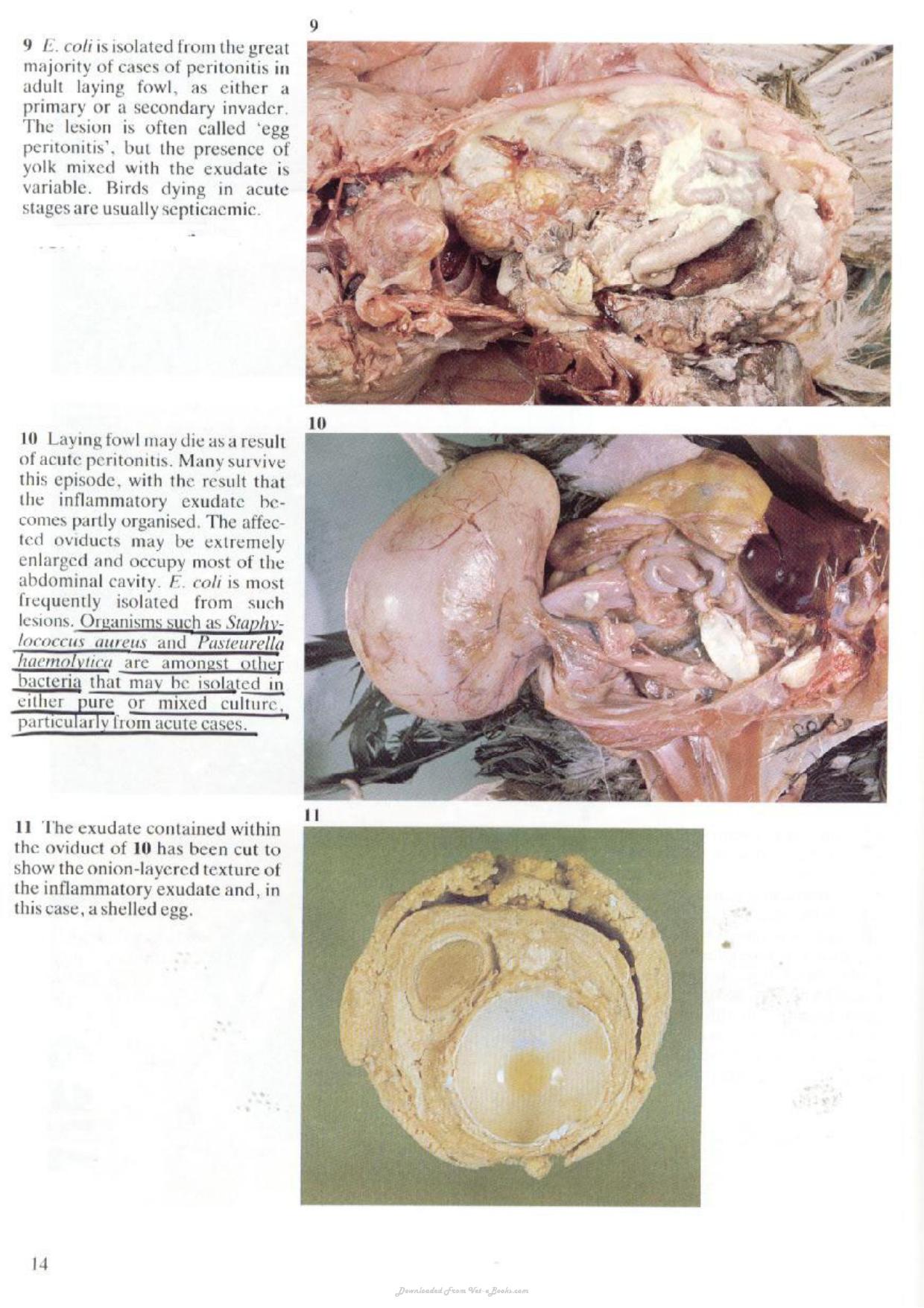 Look inside — page 8