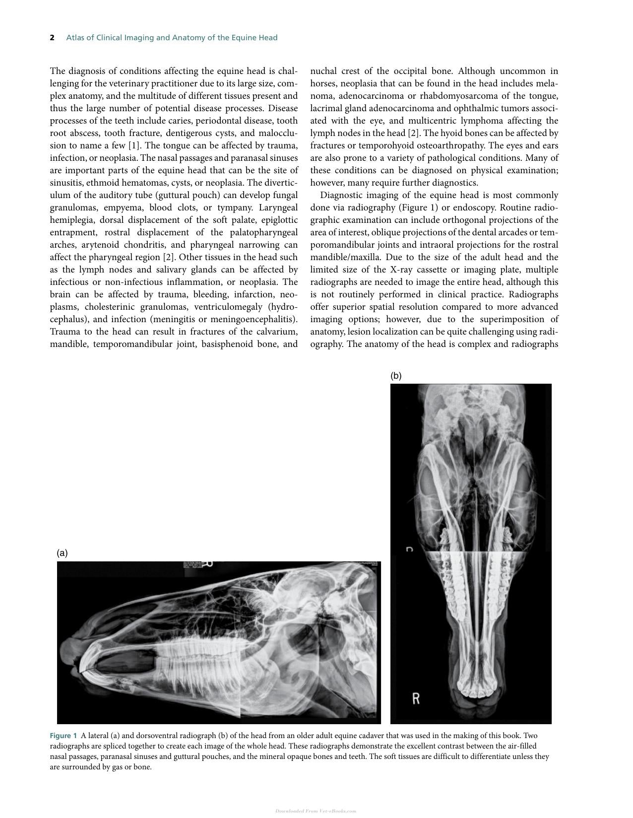Atlas Of Clinical Imaging And Anatomy Of The Equine Head