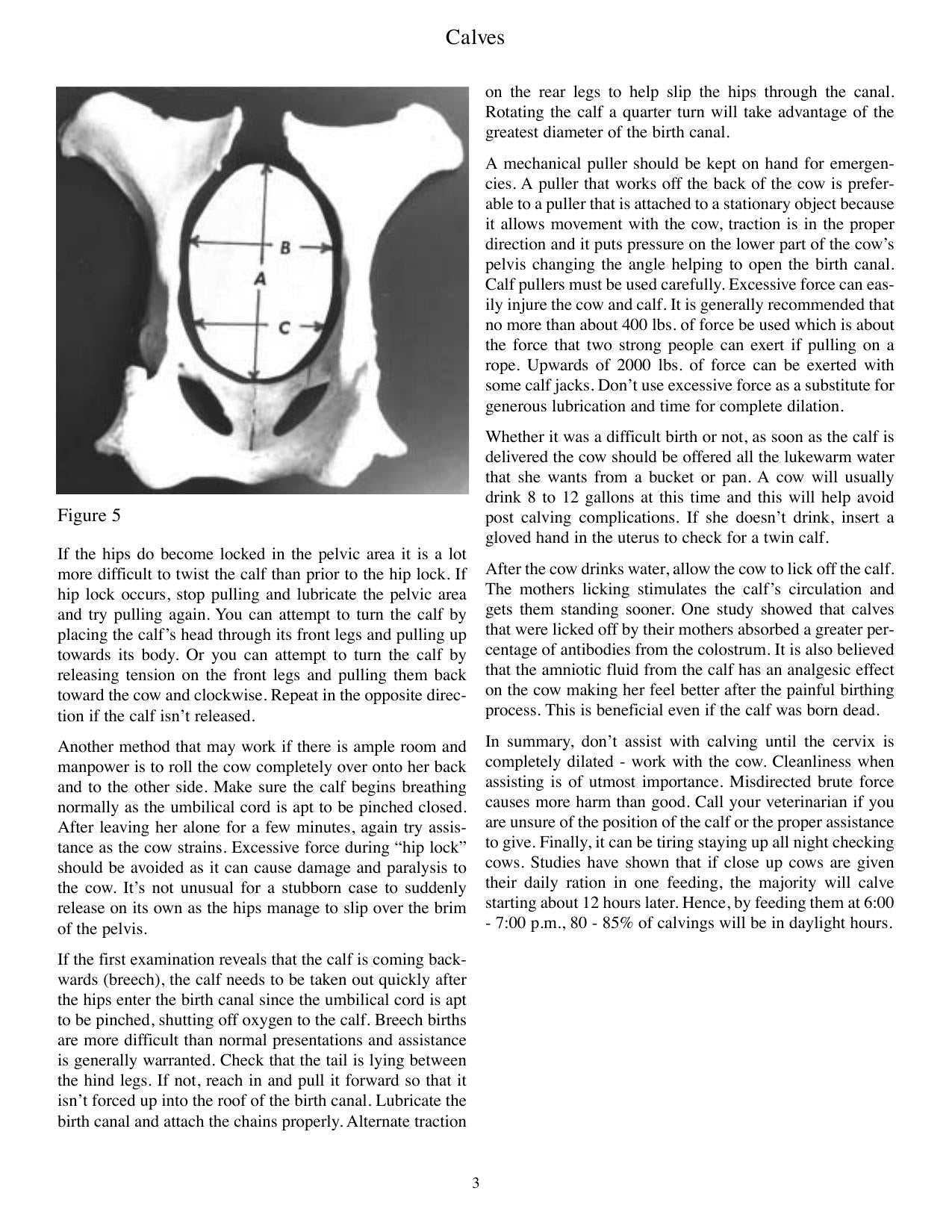 Look inside — page 8