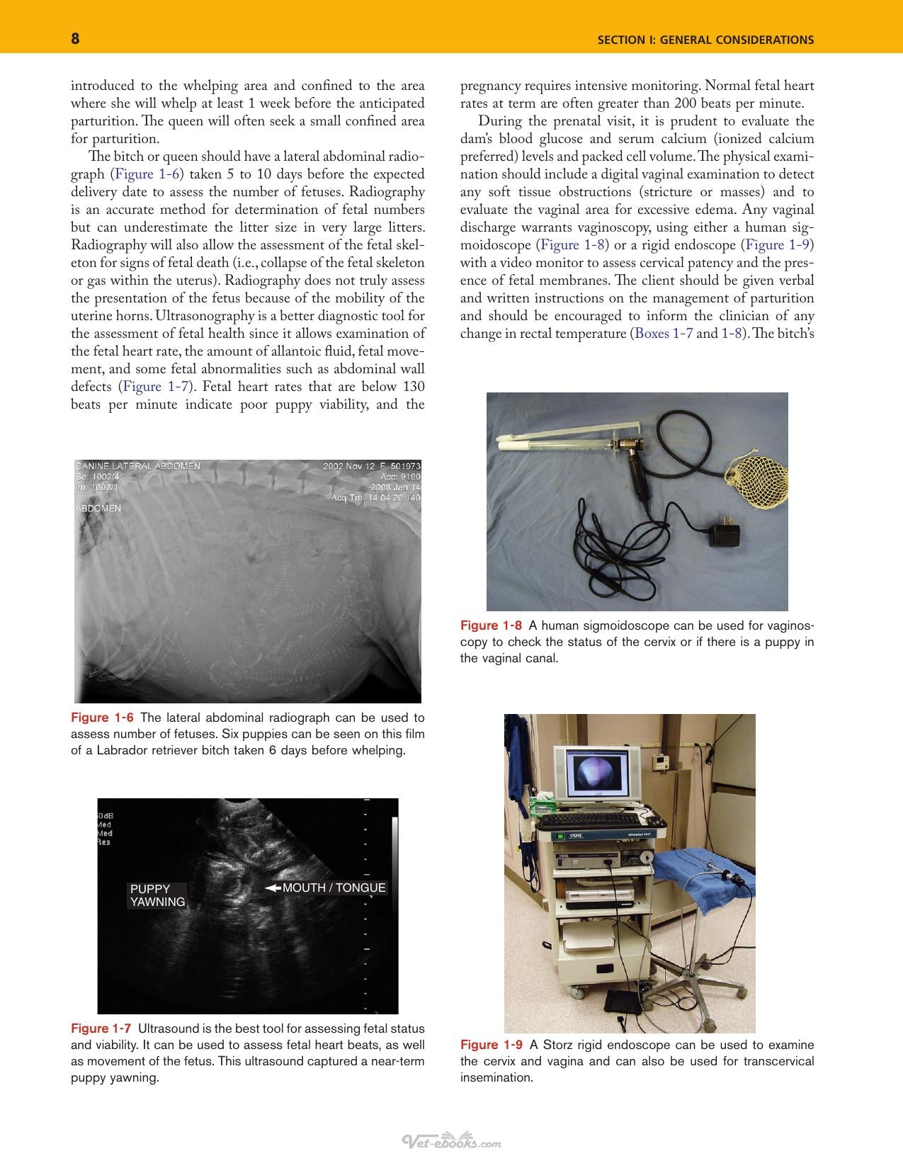 Look inside — page 8