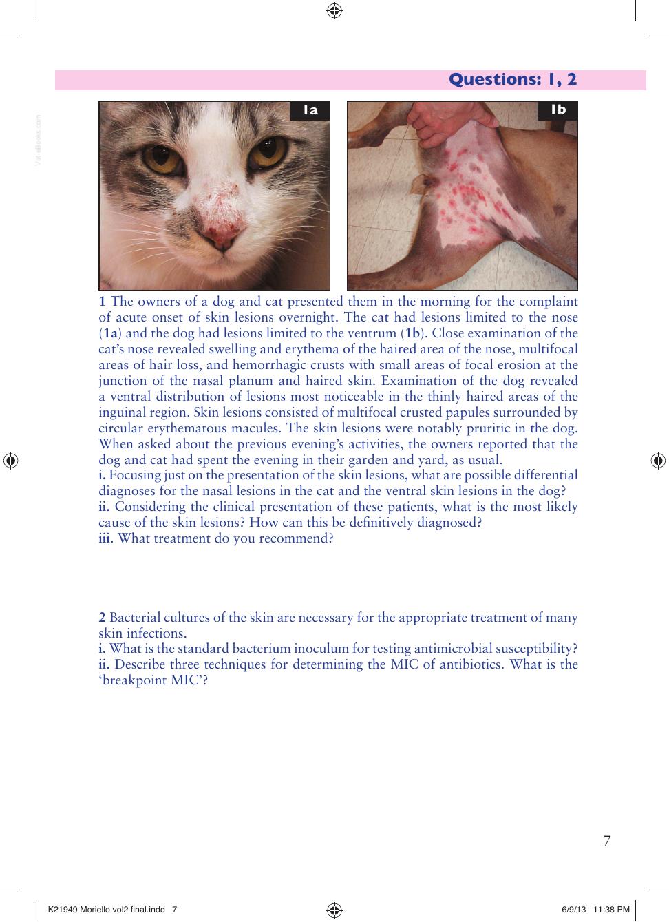 Small Animal Dermatology Advanced Cases Self Assessment Color Review