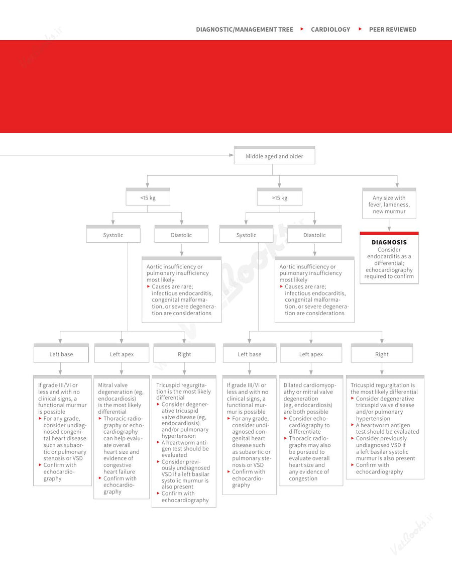 Preview page of Clinician's Brief Algorithms to Guide Your Diagnosis and Treatment