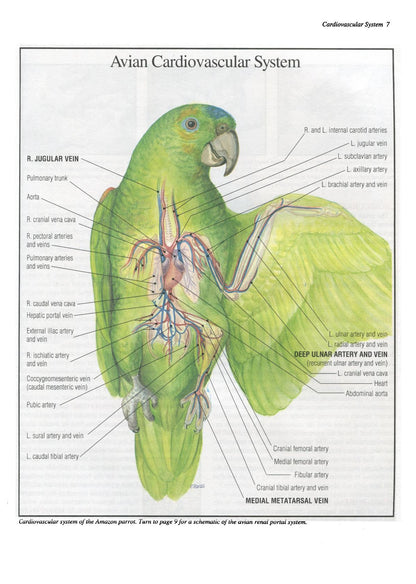 Look inside — page 8
