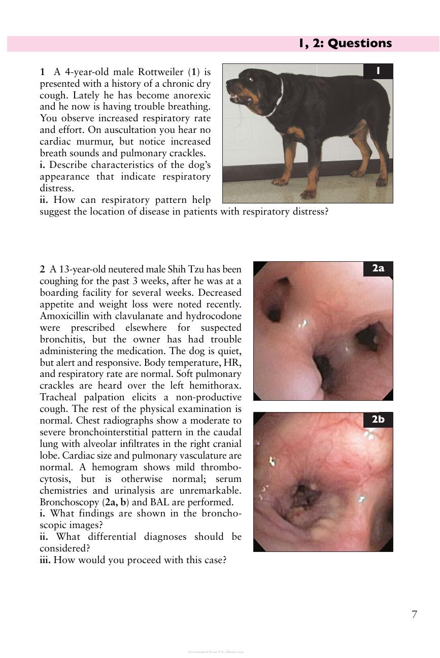 Small Animal Cardiopulmonary Medicine Self Assessment Color Review