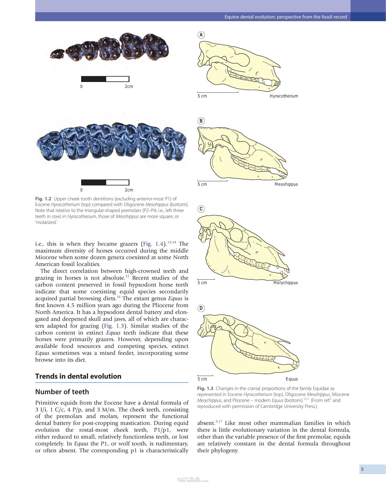 Look inside — page 8