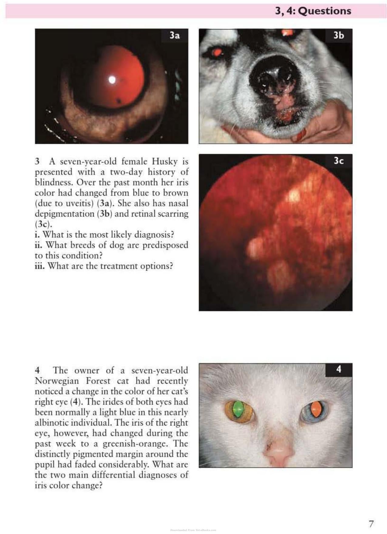 Look inside — page 8