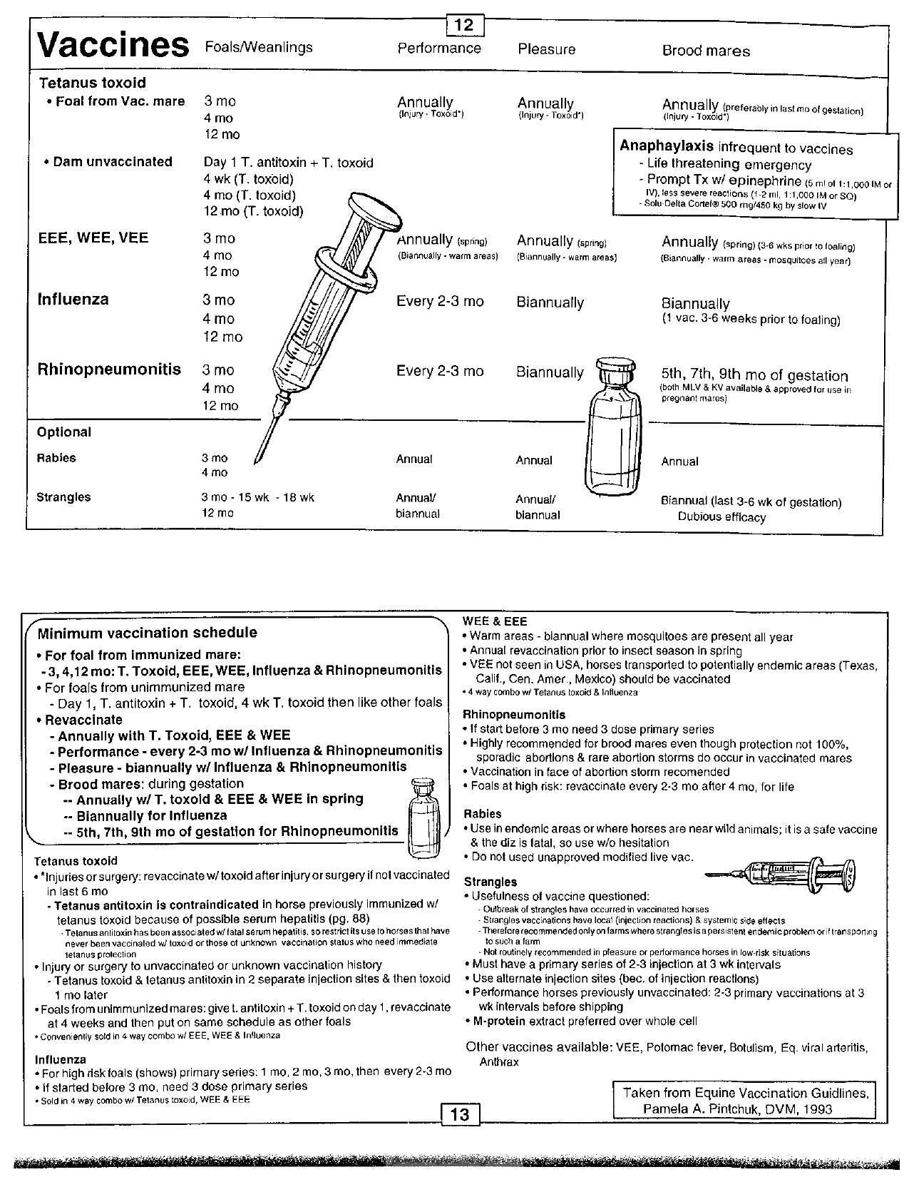 Guide to Equine Clinics 3RD Edition