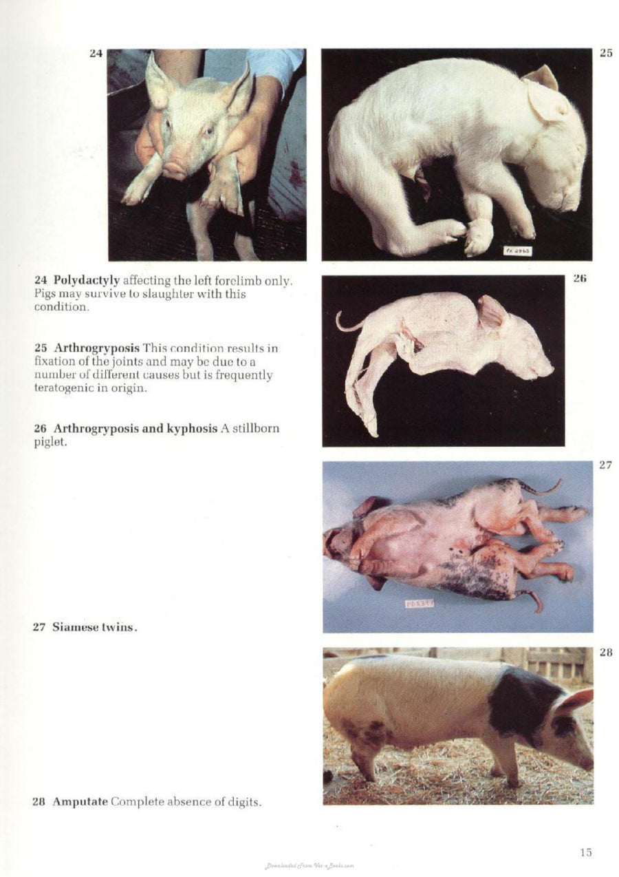 Preview page of A Colour Atlas of Diseases and Disorders of the Pig