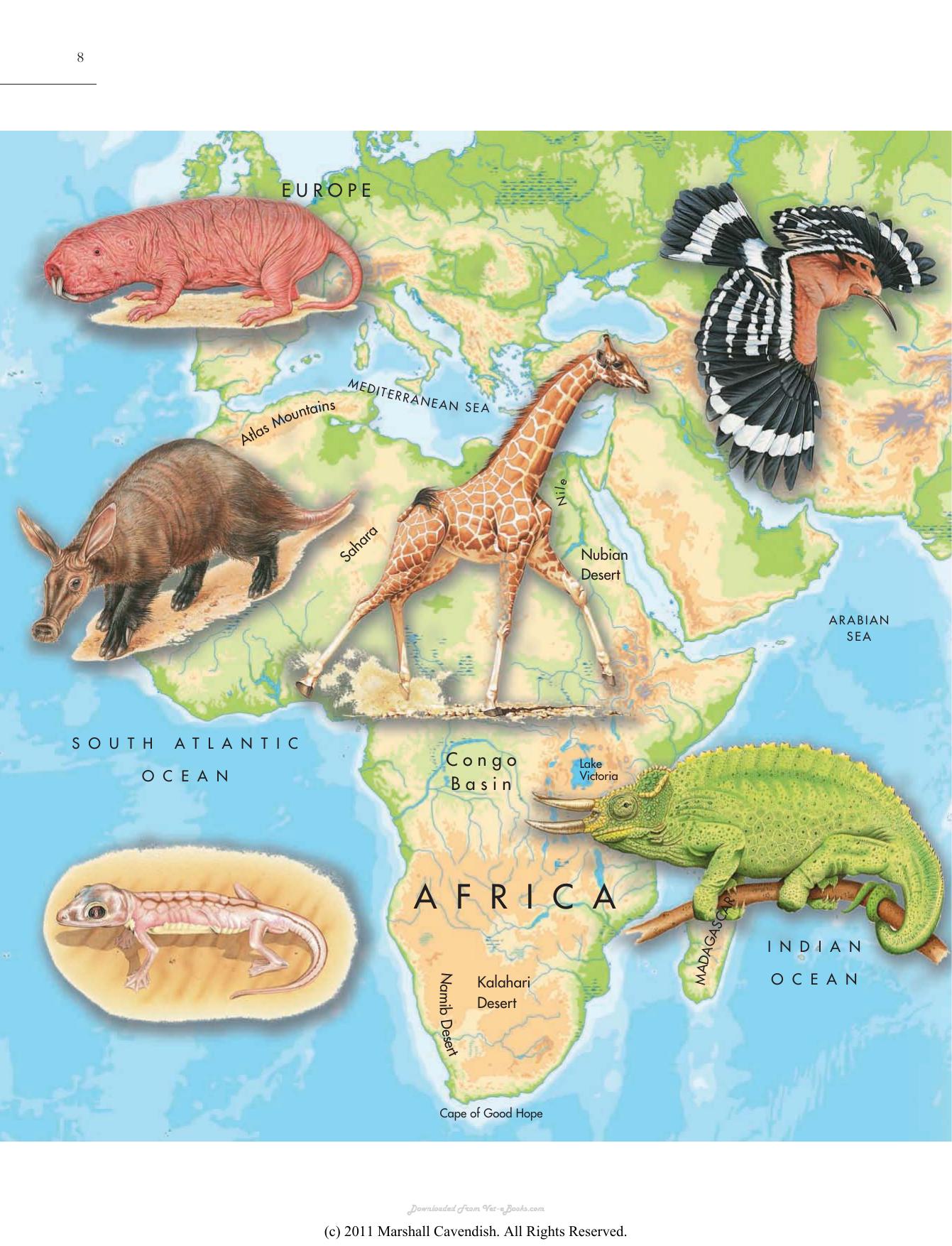 Atlas Of The Worlds Strangest Animals