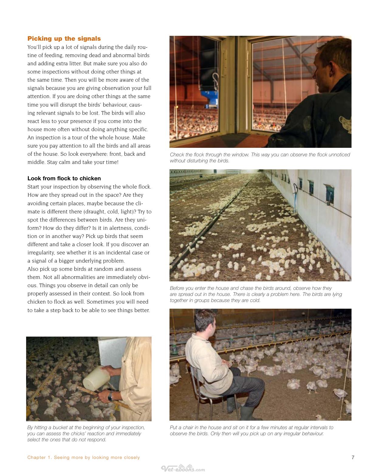 Broiler Signals A Practical Guide To Broiler Focused Management