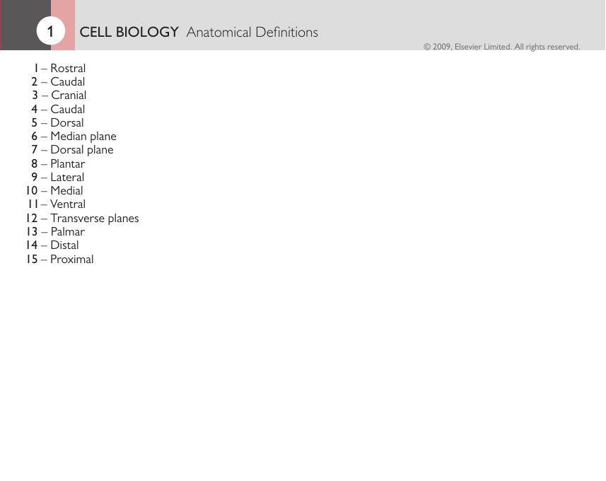 Introduction To Veterinary Anatomy And Physiology Flashcards