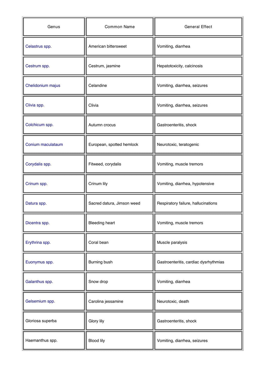 Preview page of A Guide to Poisonous House and Garden Plants
