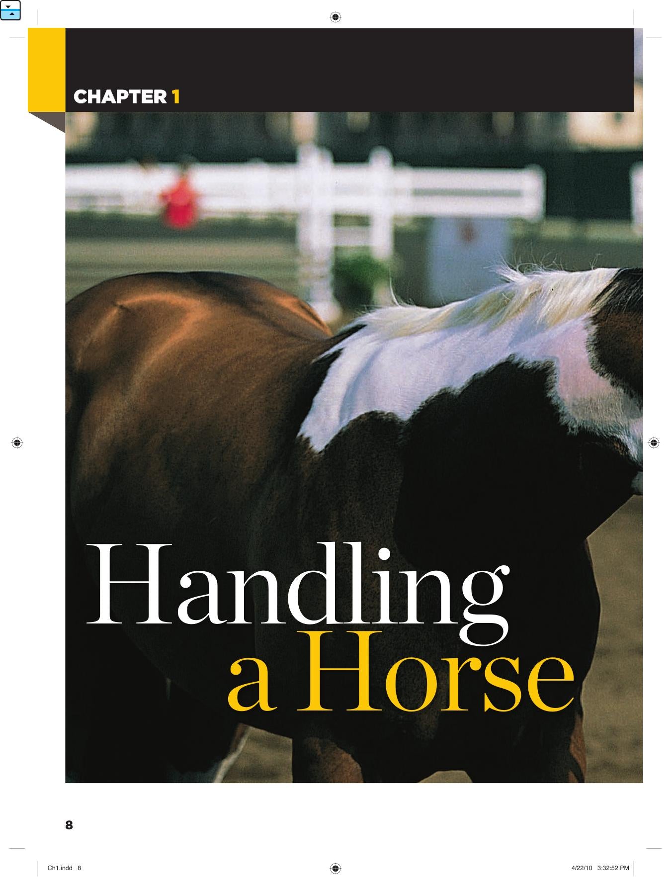 Caring For Your Horse