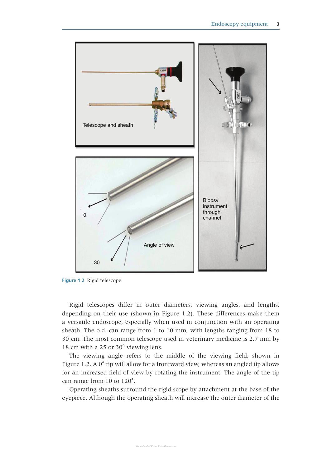 Endoscopy For The Veterinary Technician