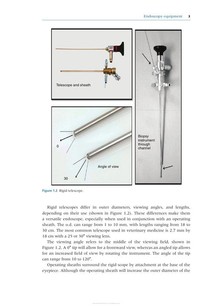 Endoscopy for the Veterinary Technician