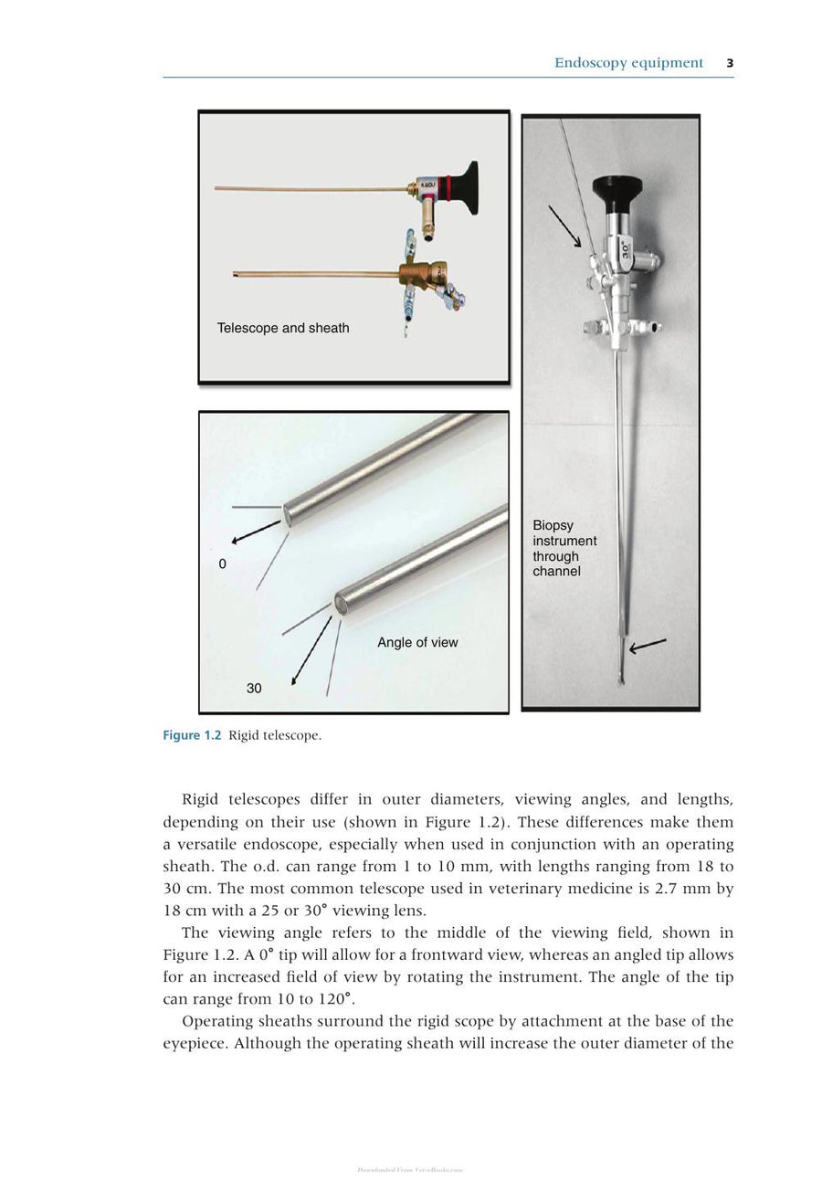 Preview page of Endoscopy for the Veterinary Technician