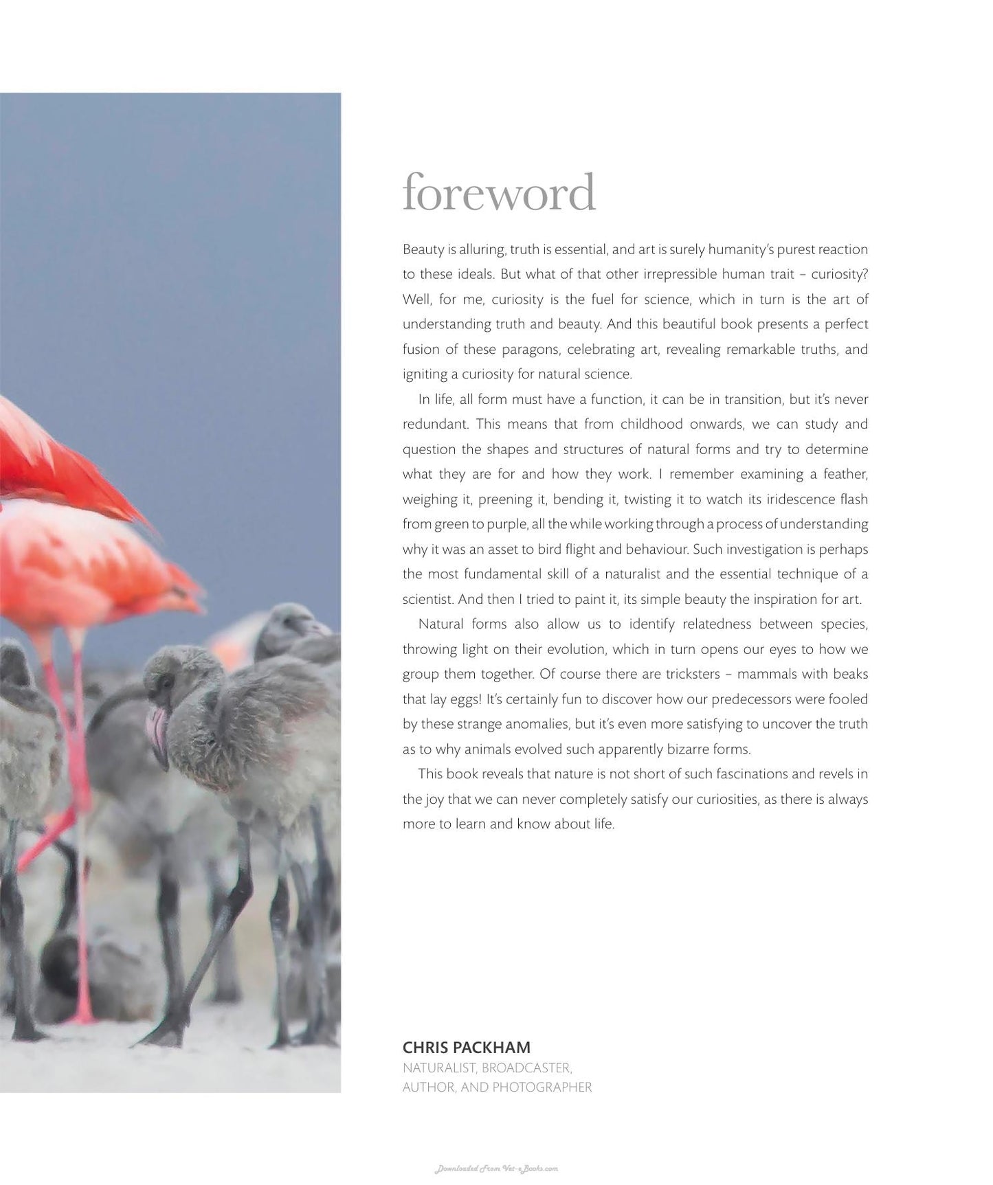 The Science Of Animals Inside Their Secret World