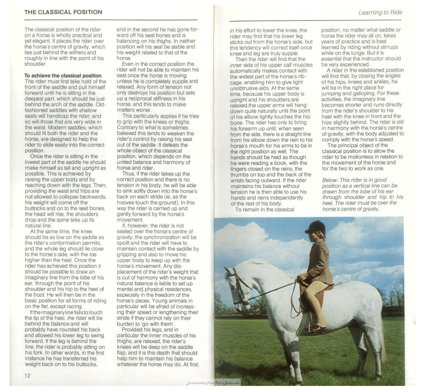 Young Riders Guide To Horse And Pony Care