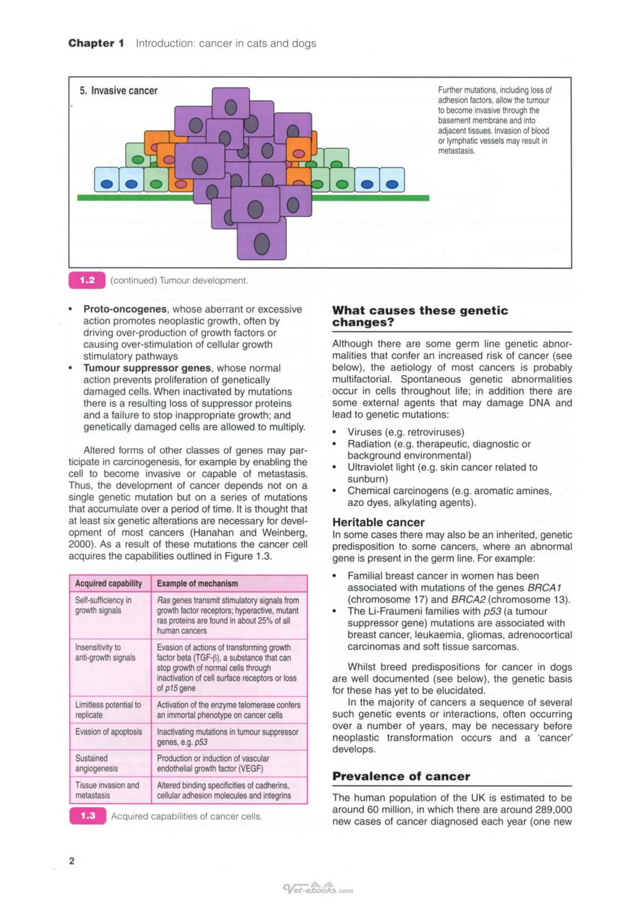 Preview page of Bsava Manual of Canine and Feline Oncology 3RD Edition