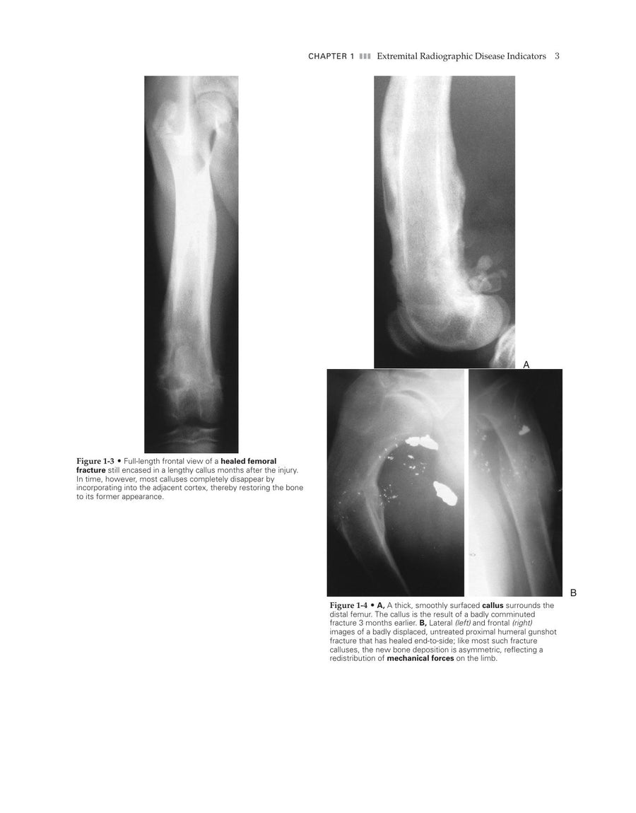 Preview page of Veterinary Diagnostic Imaging the Dog and Cat