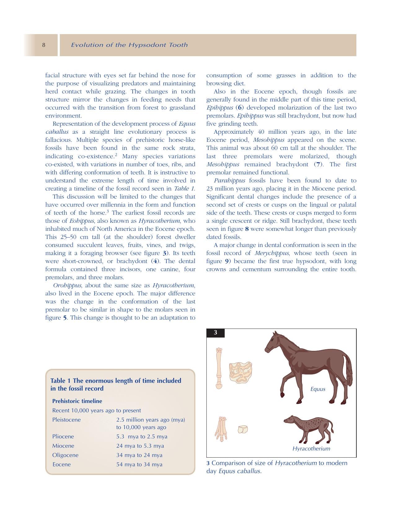 Principles Of Equine Dentistry