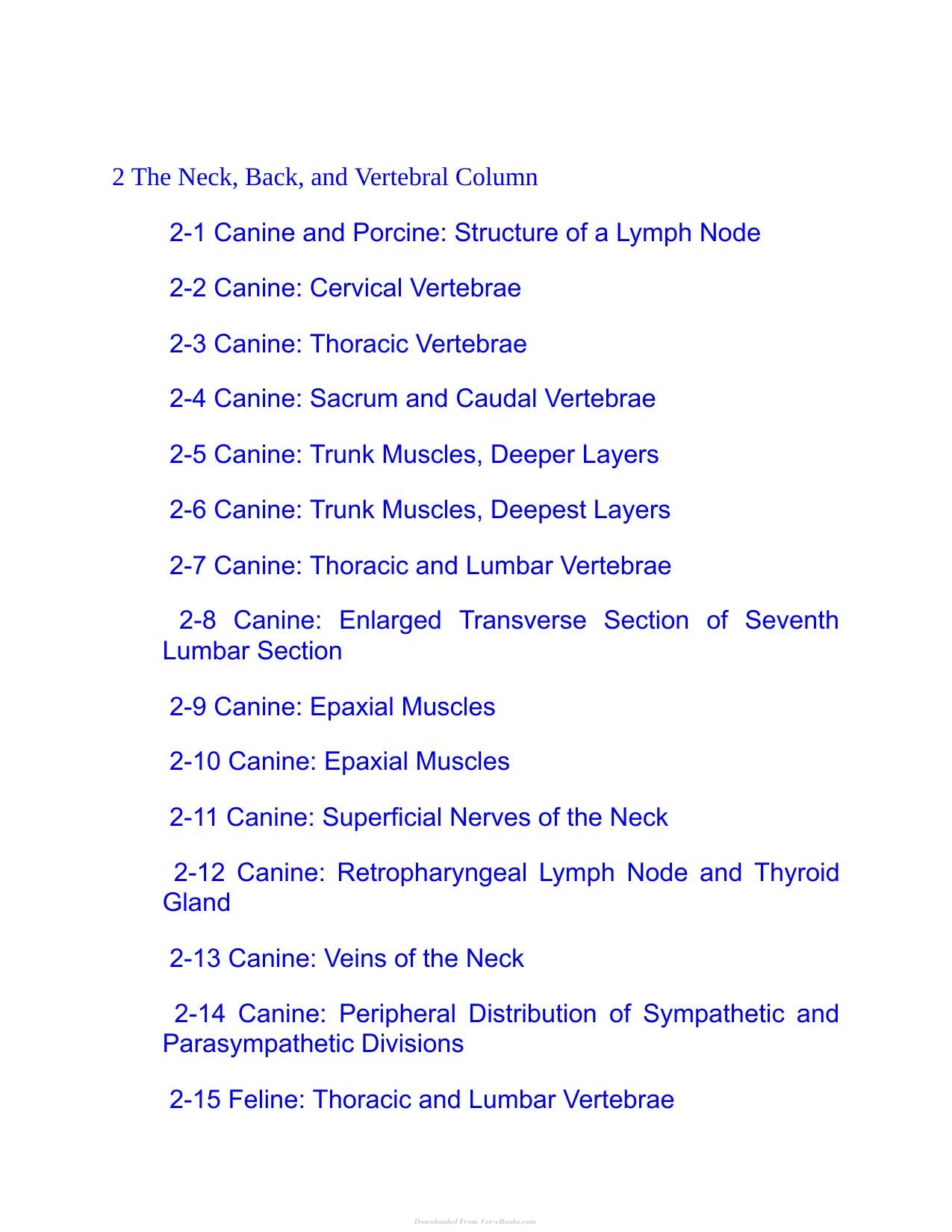 Saunders Veterinary Anatomy Flash Cards 2Nd Edition