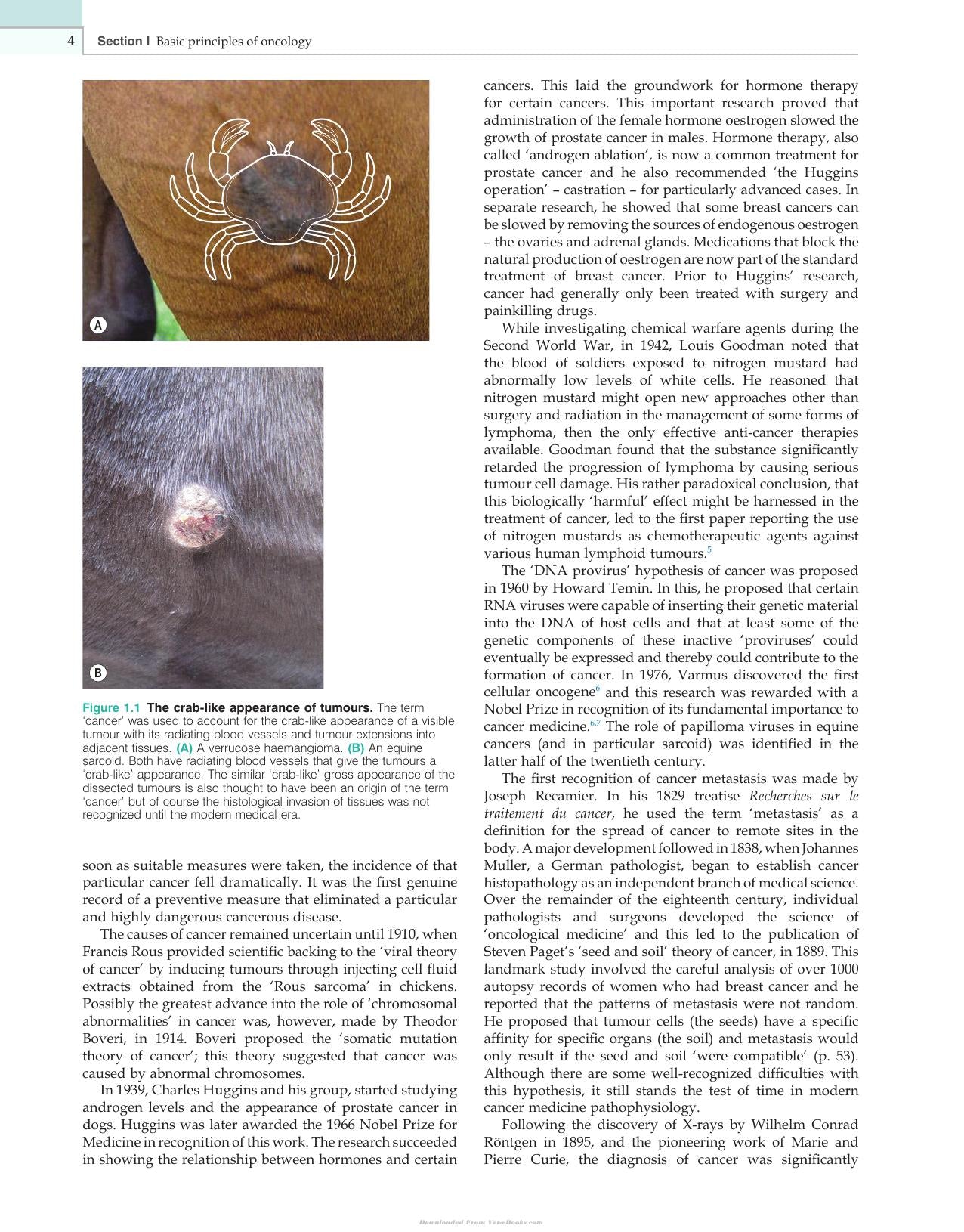 Clinical Equine Oncology