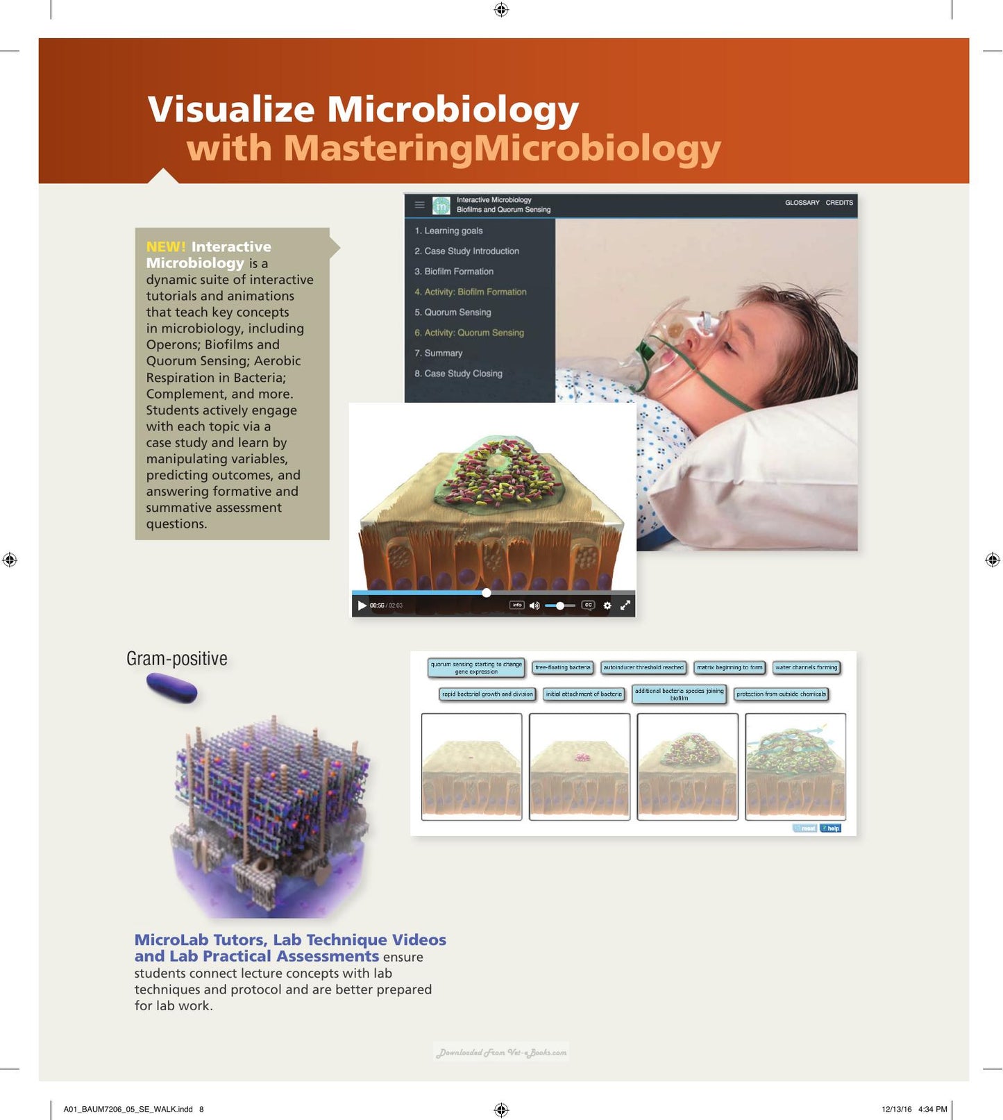 Microbiology With Diseases By Body System 5Th Edition