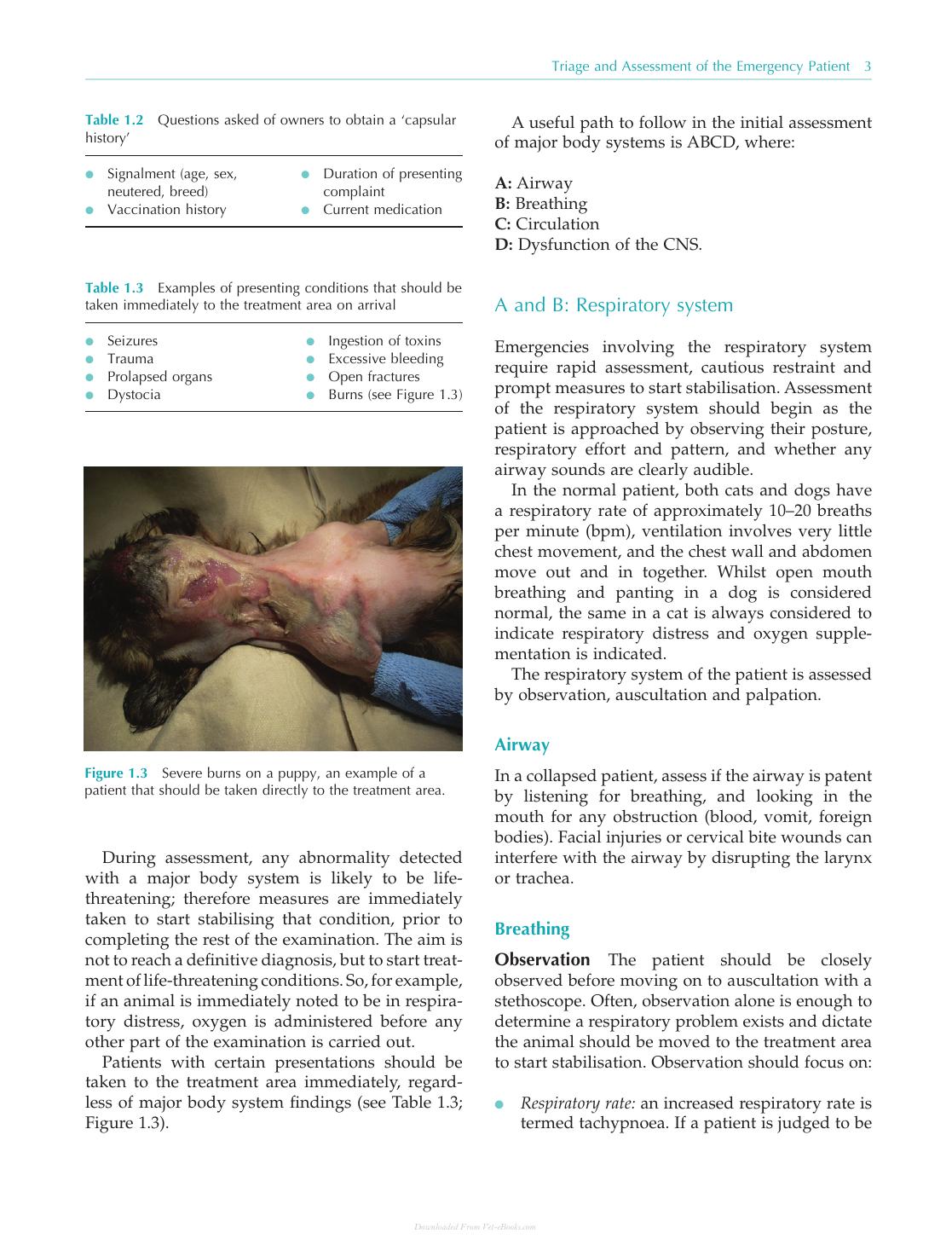 Practical Emergency And Critical Care Veterinary Nursing