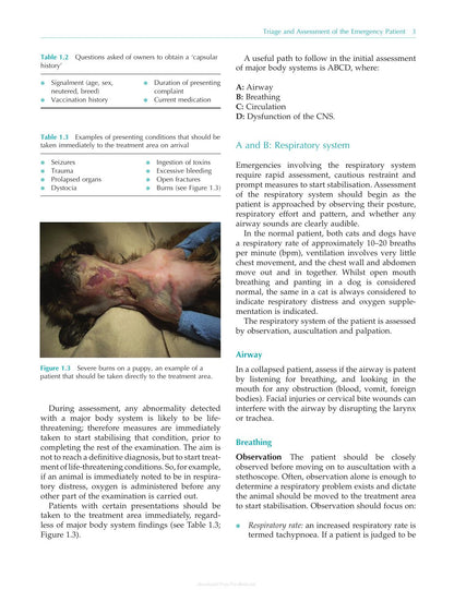 Practical Emergency and Critical Care Veterinary Nursing
