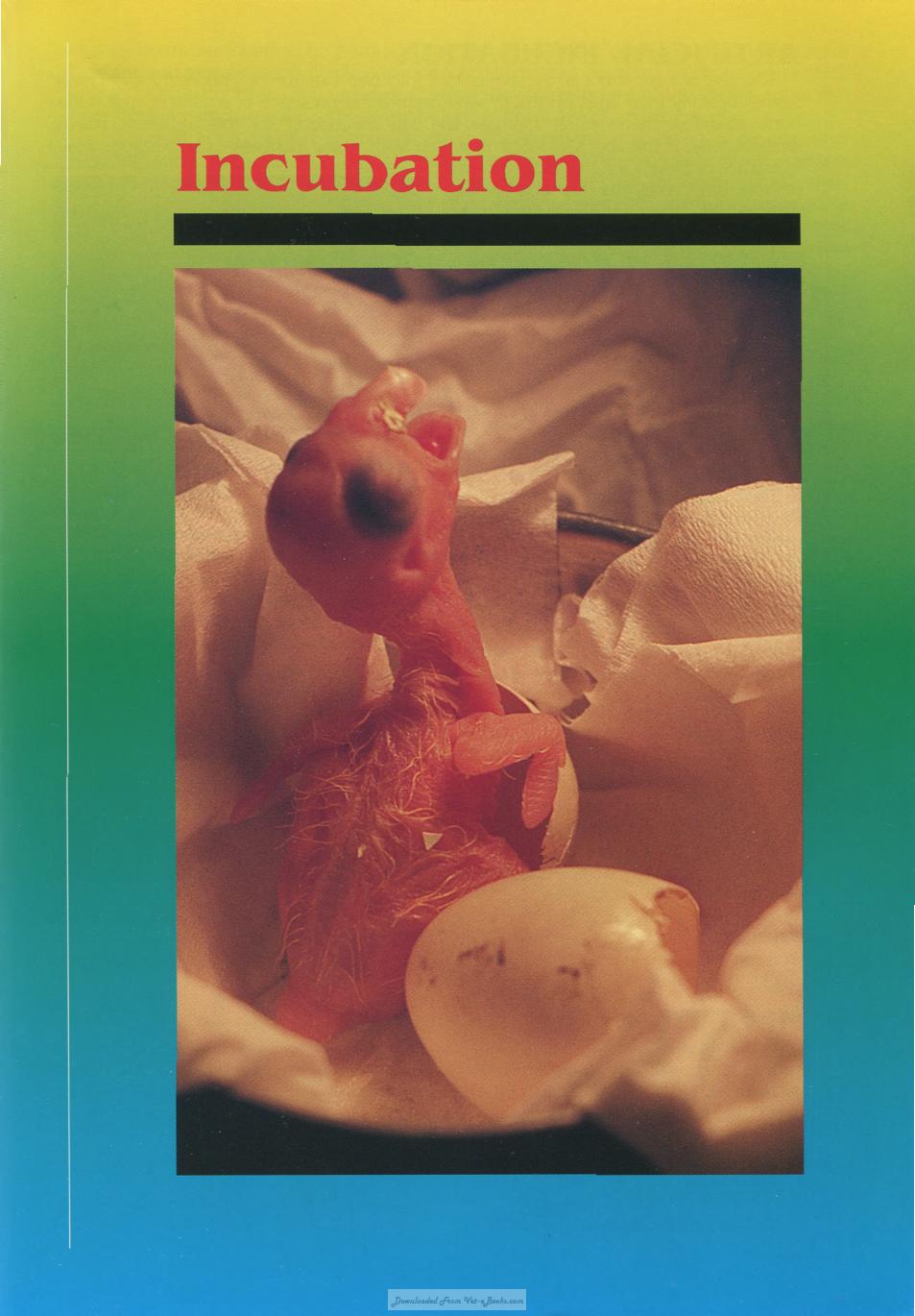Look inside — page 9