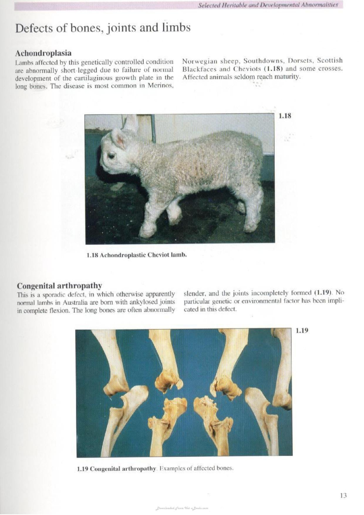 Look inside — page 9