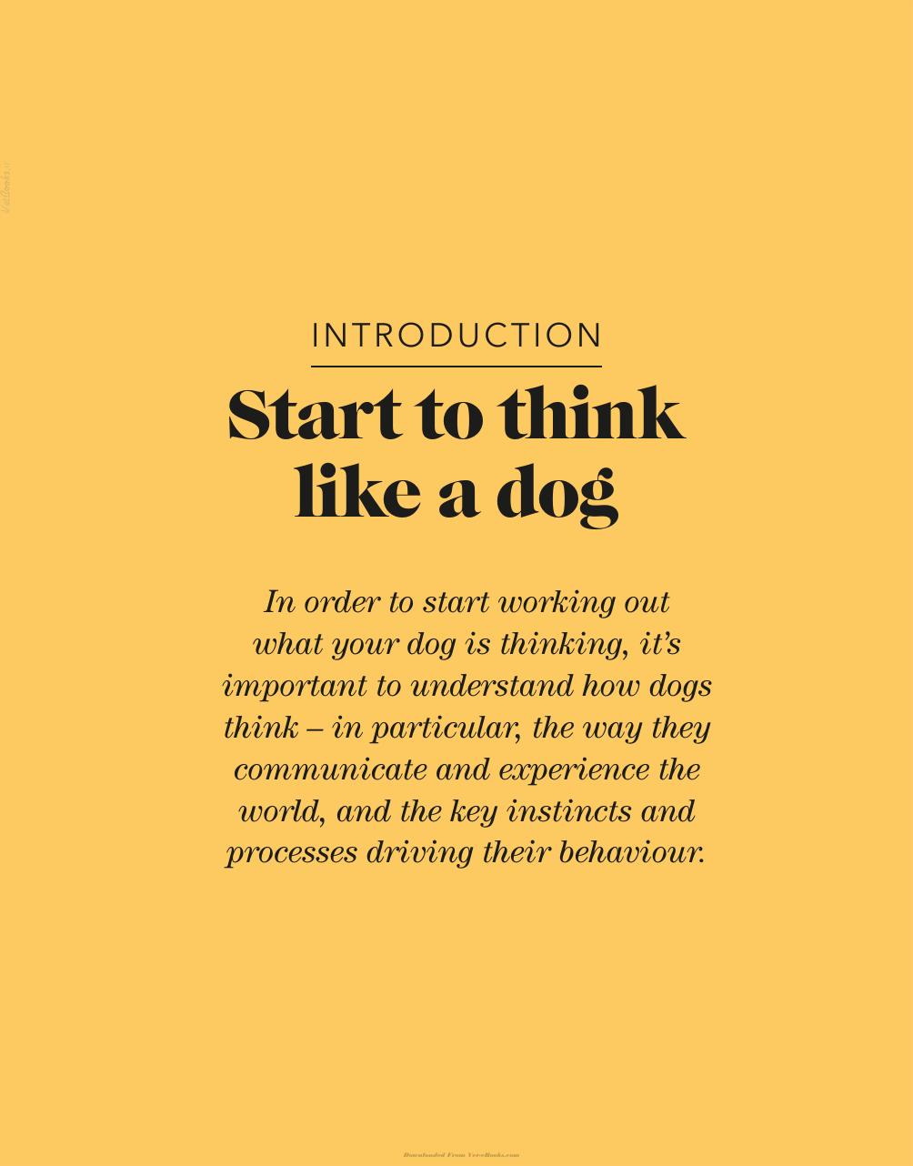 Whats My Dog Thinking Understand Your Dog To Give Them A Happy Life
