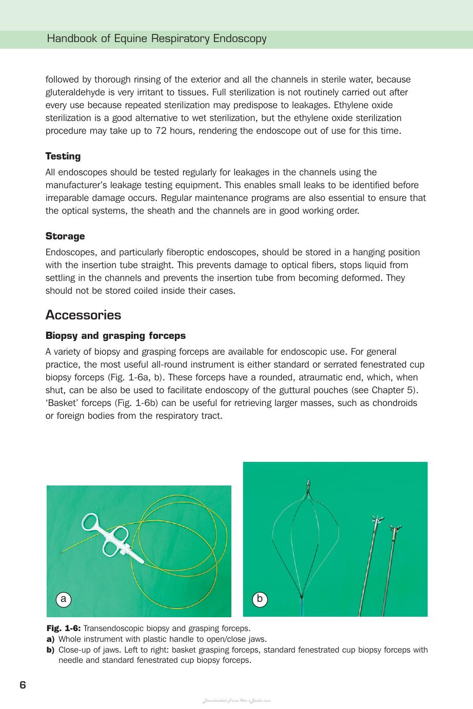 Handbook Of Equine Respiratory Endoscopy