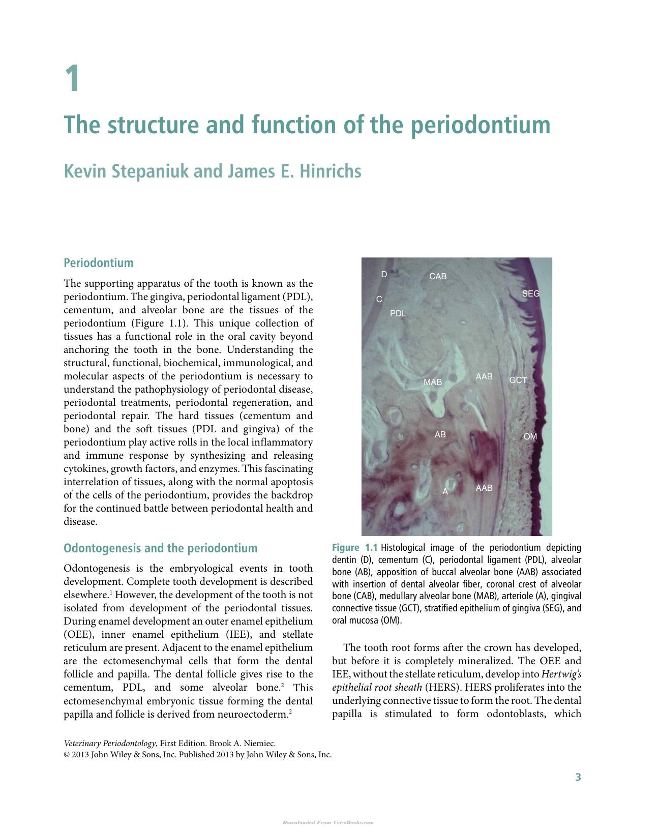 Veterinary Periodontology